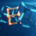Tutto su Blackfort Bxn Network, Masternode e Staking